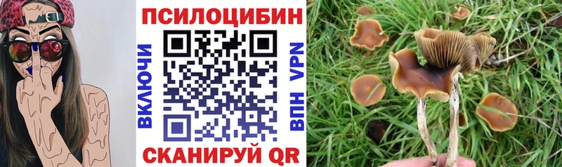 Галлюциногенные грибы мицелий  блэк спрут вход  Ульяновск 