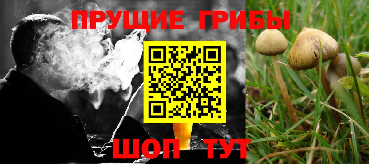 Псилоцибиновые грибы мухоморы  Вход с VPN  Ульяновск 