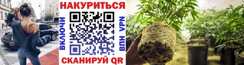 купить  сайты  Ульяновск  Конопля THC 21% 